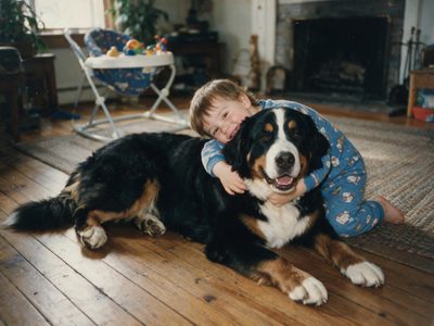 A boy in pyjamas hugging the family's Bernese mountain dog on the living-room floor